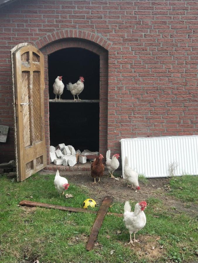 Betsie'S Place Grosssander Luaran gambar